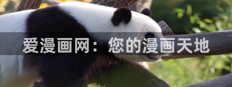 飞飞漫画app：爱漫画网：您的漫画天地